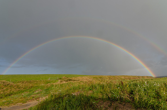 DSC_7438