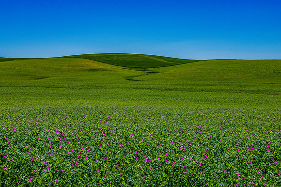 DSC_5693