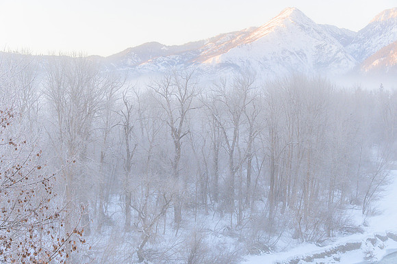 Fog and Snow in Leavenworth 2