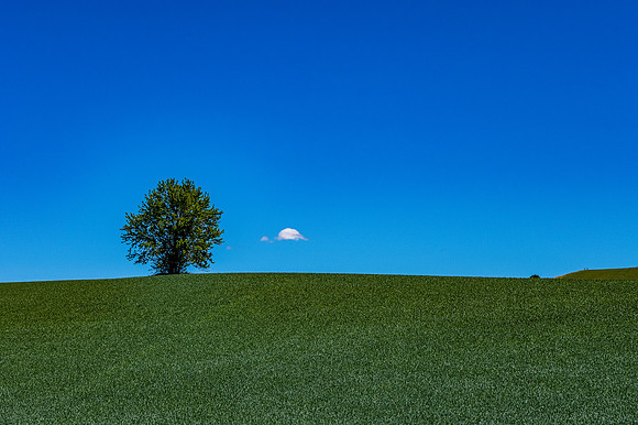 DSC_5690