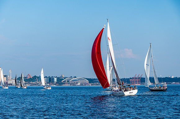DSC_9490